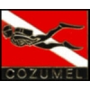 City Of Cozumel Mexico Scuba Dive Flag Pin Mexico Diver Pins